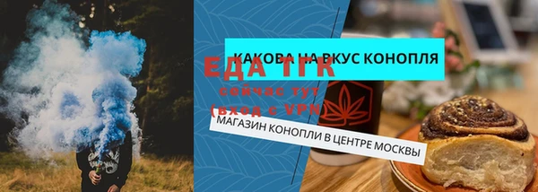 мдпв Каменногорск