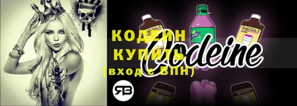 мдпв Каменногорск