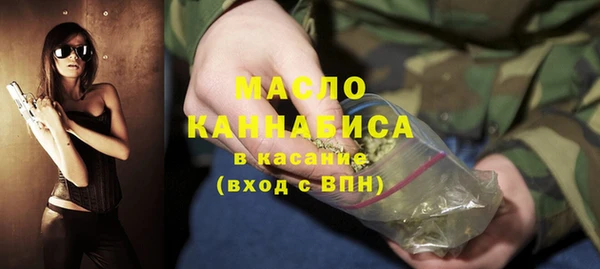 мдпв Каменногорск