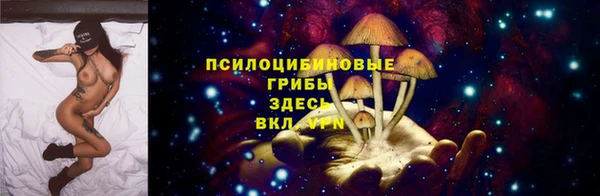крисы Карталы