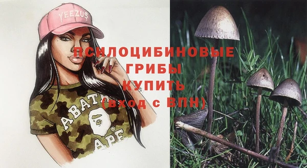 стаф Каменск-Шахтинский
