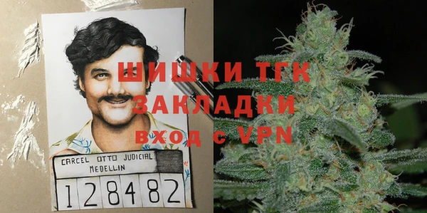 стаф Каменск-Шахтинский