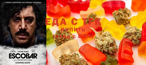 мдпв Каменногорск