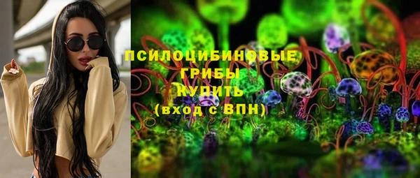 мдпв Каменногорск