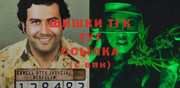 мдпв Каменногорск