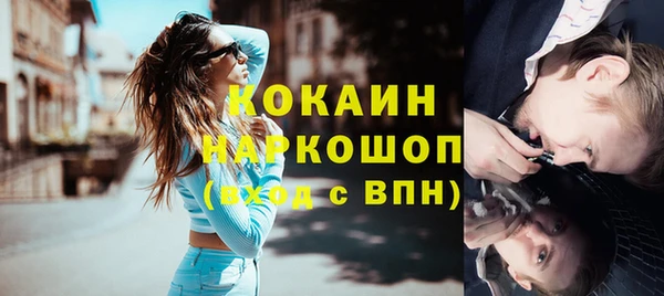стаф Каменск-Шахтинский