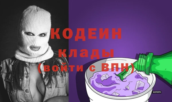 соль ск Каменка