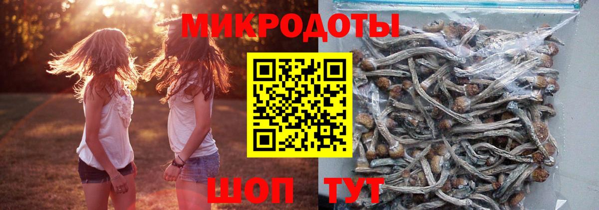 Когалым  Псилоцибиновые грибы Psilocybe  Вход с VPN 